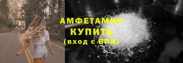 прущие грибы Мурманск