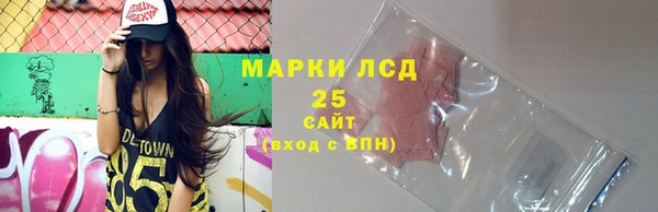 прущие грибы Мурманск