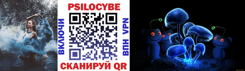 Галлюциногенные грибы прущие грибы  ОМГ ОМГ   Жердевка 
